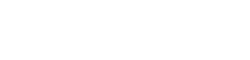 Mobolution Logo White
