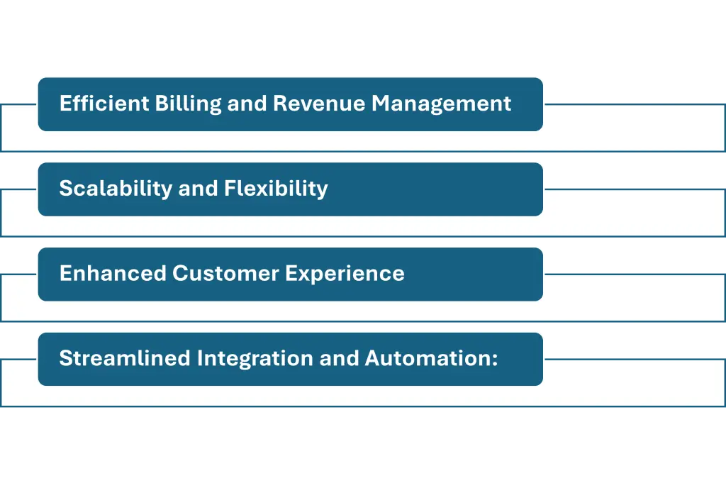 Key Capabilities of SAP BRIM