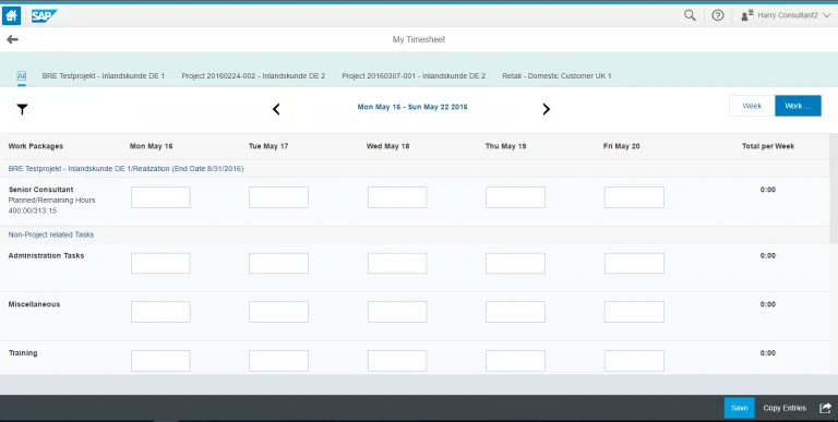 SAP-Fiori-Manage-My-Timesheet-App