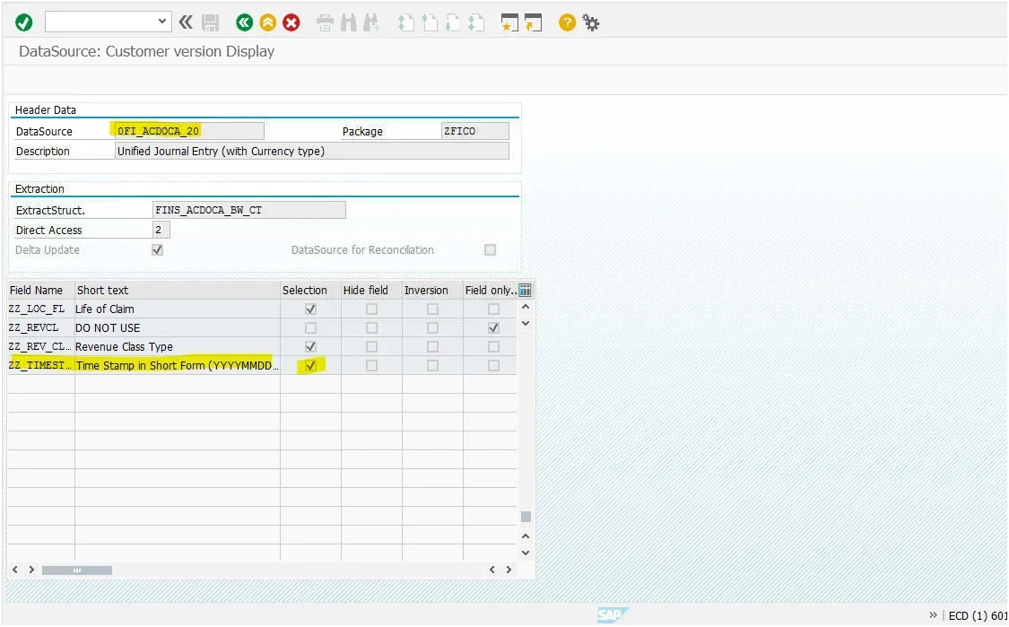 Data Source Customer Version Display