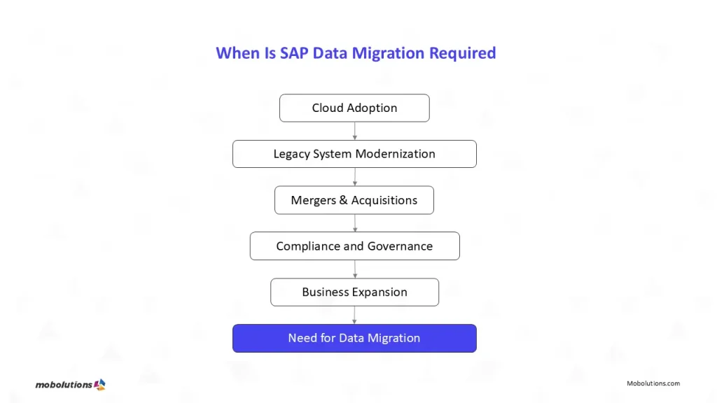 SAP Data Migration